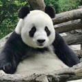 瑾瑜匿瑕的头像