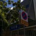 小熊的头像