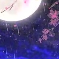 书友481015650的头像