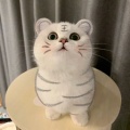 书友 3375228963的头像