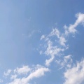 白云YOYO的头像