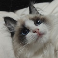 书友1970213349的头像
