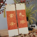 八命猫。的头像