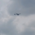 空投一个的头像