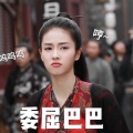 书友955687901的头像