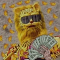 阅万里的头像