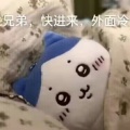 我怎么睡不醒啊的头像