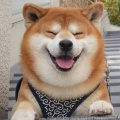 女娃娃的头像