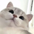 涵涵涵涵涵的头像