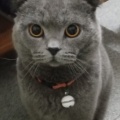 书友 4156764009的头像