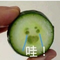 念汐的头像