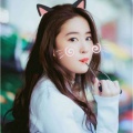 书友936667920的头像
