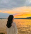 粉圆鲜奶的头像