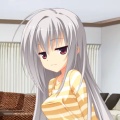 山茶花的头像