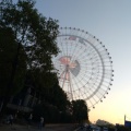 丫头的头像
