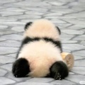 书友2060567584的头像