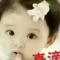 书友823667959的头像
