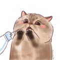 林羡鱼的头像