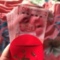 政的头像