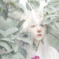 山雨两滴的头像