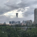 浮华步行街的头像