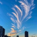 福运满满的头像