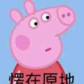 书友931925049的头像