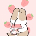 余蒙优的头像