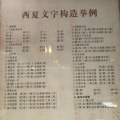 守嘴不惹祸守心不犯错的头像
