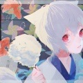 星寮迹的头像