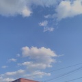 蜗牛小姐的头像