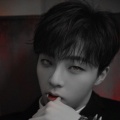 书友1125146273的头像