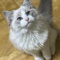 冰花雨的头像