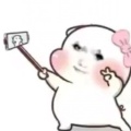 棉瓜子的头像