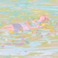 棘鱼.的头像