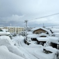 Itsumiwu的头像