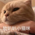 嘤嘤嘤怪的头像