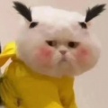 久念的头像