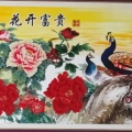 雄鹰断翅的头像