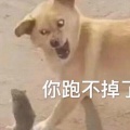 一人独钓一江秋的头像