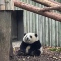 嘉佳的头像