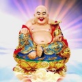 内蒙古胖哥的头像