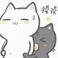 么么喜欢你的头像