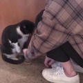 聂天宇的头像