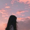 书友的头像