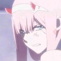书友 2987387864的头像
