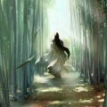 梨花白的头像