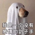 听说的头像