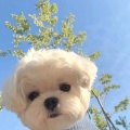 书友 2939750379的头像