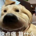 靓仔的头像